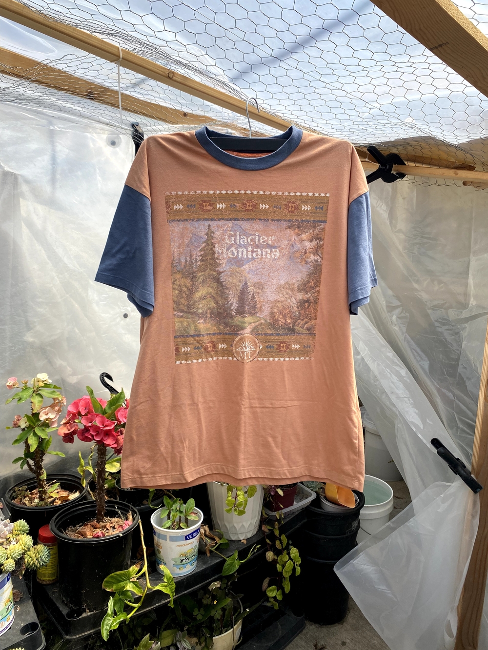 Glacier Montana Graphic Short-Sleeve Tee in Rust and Blue